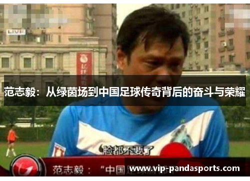 范志毅：从绿茵场到中国足球传奇背后的奋斗与荣耀