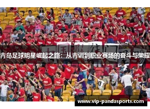 青岛足球明星崛起之路：从青训到职业赛场的奋斗与荣耀