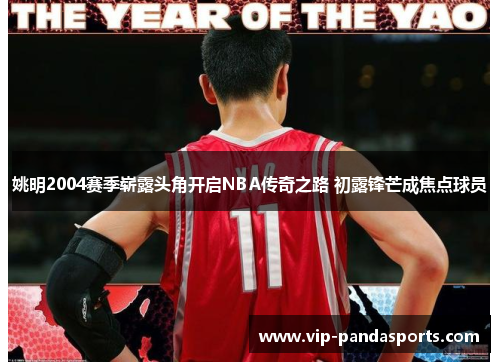 姚明2004赛季崭露头角开启NBA传奇之路 初露锋芒成焦点球员
