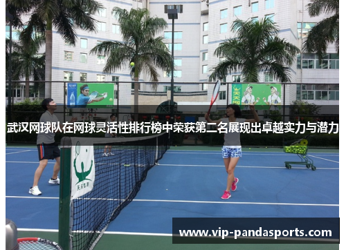 武汉网球队在网球灵活性排行榜中荣获第二名展现出卓越实力与潜力