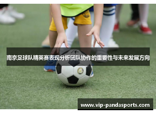 南京足球队精英赛表现分析团队协作的重要性与未来发展方向