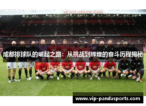 成都排球队的崛起之路：从挑战到辉煌的奋斗历程揭秘