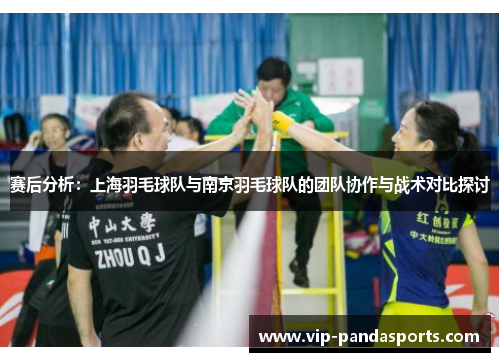 赛后分析：上海羽毛球队与南京羽毛球队的团队协作与战术对比探讨