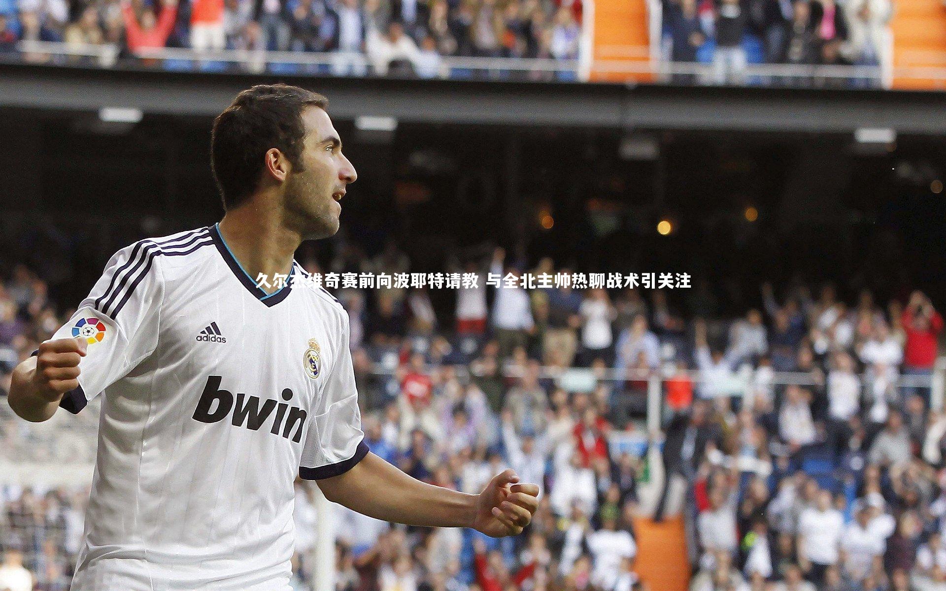熊猫体育官网_久尔杰维奇赛前向波耶特请教 与全北主帅热聊战术引关注