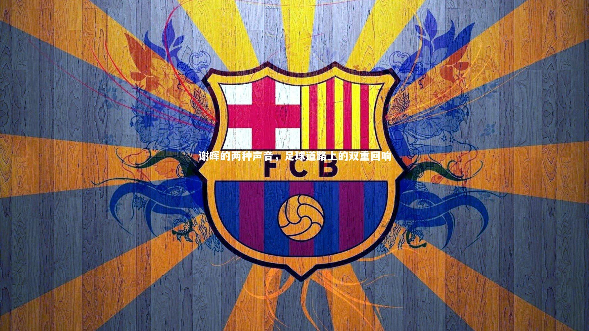 谢晖的两种声音，足球道路上的双重回响